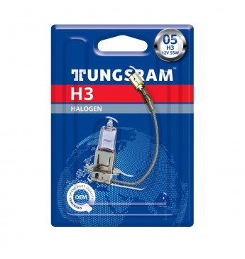 Pirn H3 E1 12V 55W PK22S